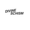 Divine Schism